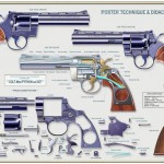 8 PYTHON 357 Mag PIECES 1